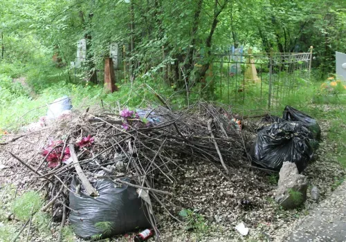 Мусор и бурьян: старое кладбище в Благовещенске противостоит времени