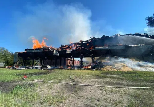 500 тонн сои спасли при пожаре на зерновом дворе в Тамбовском районе