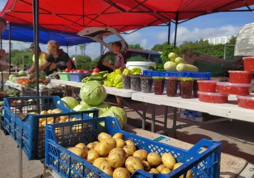 Овощи, ягоды и колбасы привезли на фермерские ярмарки в Благовещенск