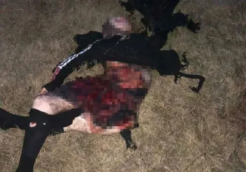 Фейк о жуткой гибели грибников распространили в Амурской области (фото 18+)