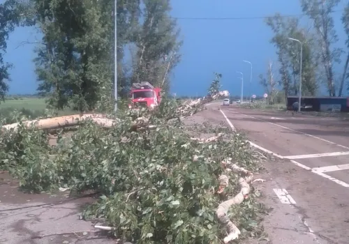 Завалы, поврежденные дома и отключенный свет: последствия ненастья устраняют в Приамурье
