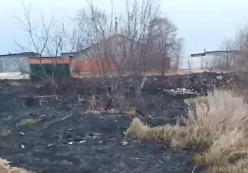 Пироман по ночам поджигает траву в Благовещенском районе