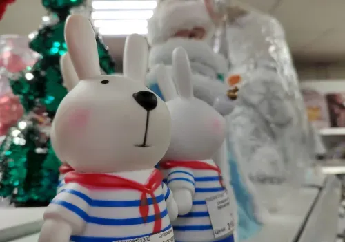 Новогодние подарки в упаковках появятся в Приамурье к началу ноября