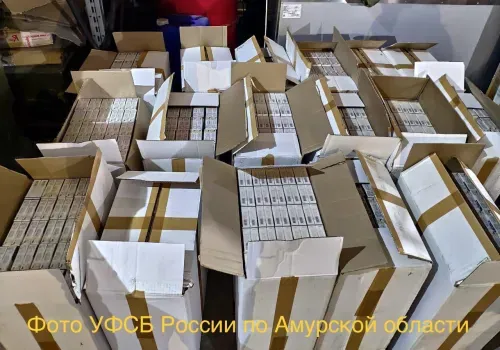 ФСБ в Амурской области помешала "предпринимателю" продать контрафактные сигареты