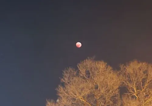 Редкое затмение Луны смогли увидеть жители Амурской области 