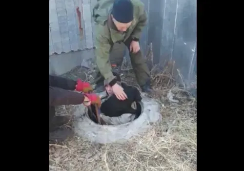 Молодого пса вытащили из глубокого колодца в Белогорском округе