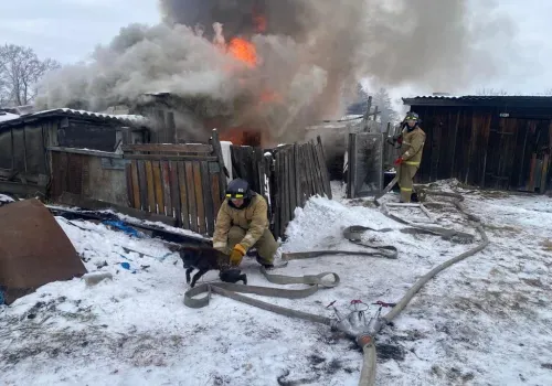 Щенка, привязанного цепью, спасли на пожаре в Тамбовском районе