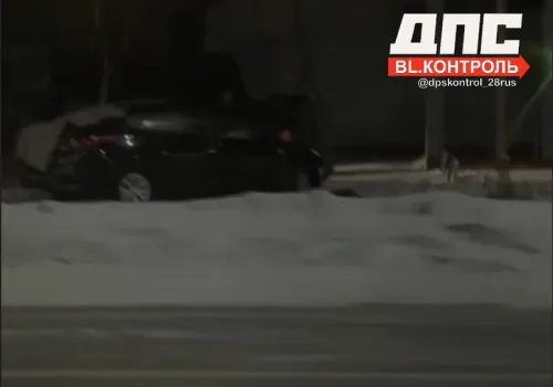 В Благовещенске дерево спасло пешехода от столкновения с автомобилем