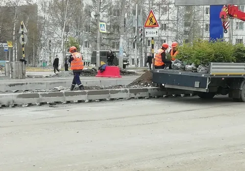 Ели озеленят дорогу на улице Красная Пресня в Тынде