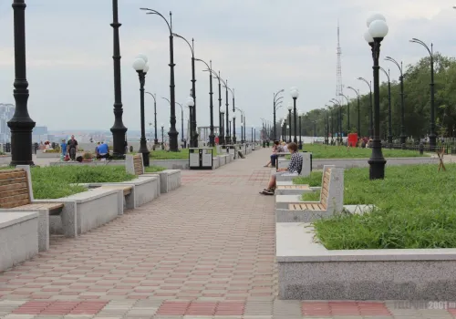 Полиция нашла украденную с набережной Благовещенска бронзовую сороку