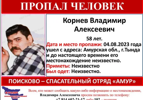 В Амурской области пропали супруги, которые уехали на сбор ягод