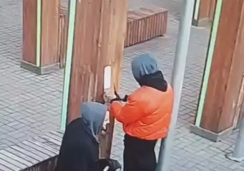 Мэрия Благовещенска ищет расклейщиков объявлений о новогоднем квесте