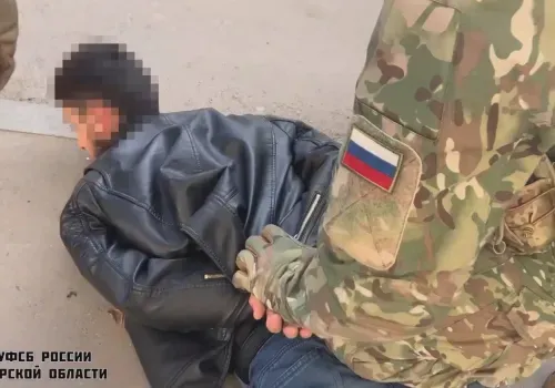 ФСБ: иностранец, проживающий в Приамурье, содействовал терроризму