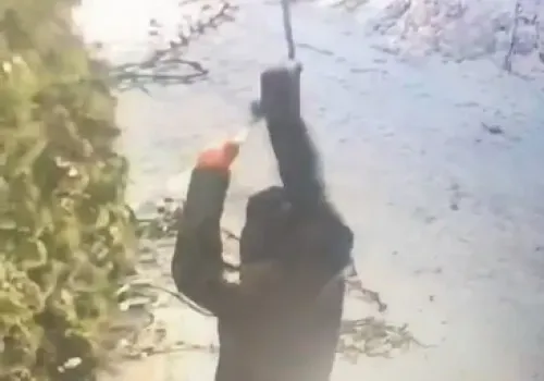 В Благовещенске заплатят вознаграждение за "голову" новогоднего вандала