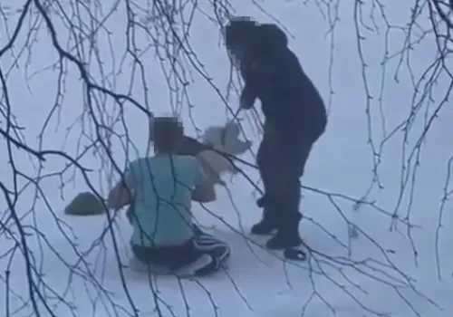 Шпиц погиб после нападения крупной собаки, гулявшей без поводка в Зее