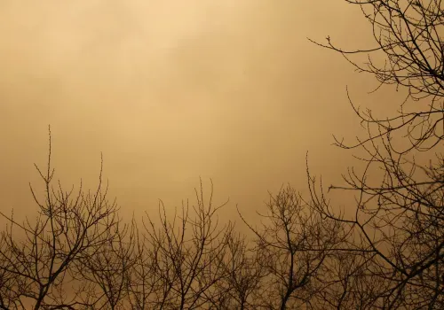 Дождь с песком прошел в Благовещенске