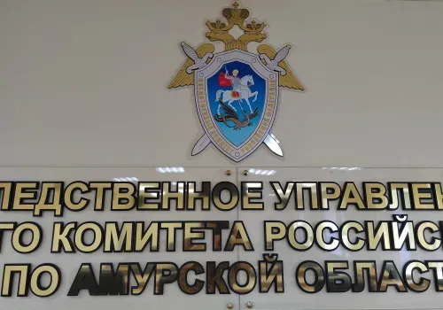 Организаторам азартных игр предъявлено обвинение в Благовещенске