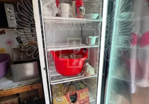 Полная антисанитария: кафе с шаурмой закрыл суд в Благовещенске