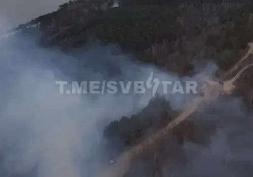Сопку любви тушили в Свободненском районе