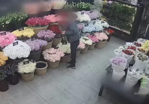 Букеты стали добычей грабителей из Благовещенска