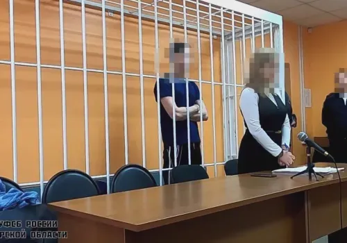 В тюрьму попадет амурчанин, осужденный за призывы к терроризму