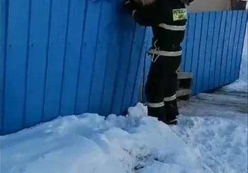 Собака, повисшая на заборе, приняла помощь от пожарных 