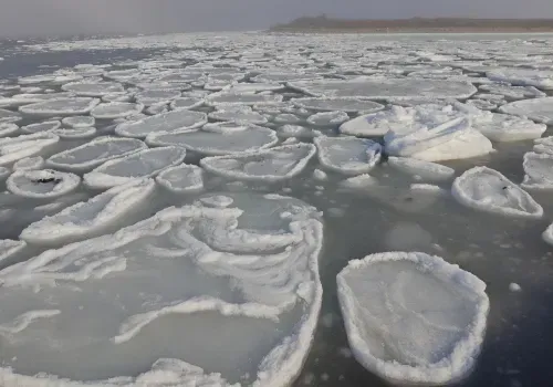 Ледяные блины плывут по морю на Дальнем Востоке