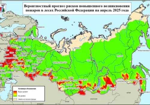 Прогноз пожарной опасности в лесах опубликовали для Дальнего Востока