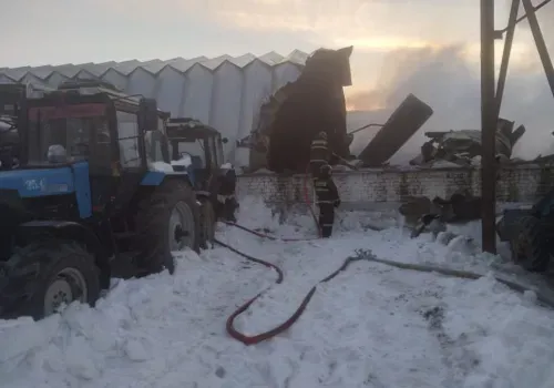 Пожарные из Приамурья спасли 300 тонн сои