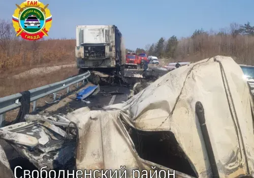 Трагическая полоса: новые подробности ДТП с тягачами сообщили в Приамурье