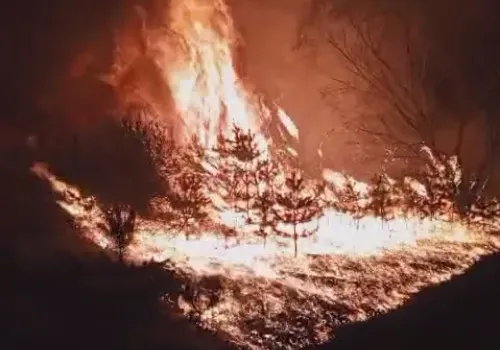 Страшное зрелище: кадры с горящей растительностью сделали в Свободненском районе