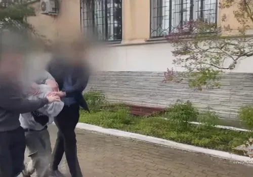 МВД опубликовало видео с мужчиной, ударившим битой девочку в Благовещенске