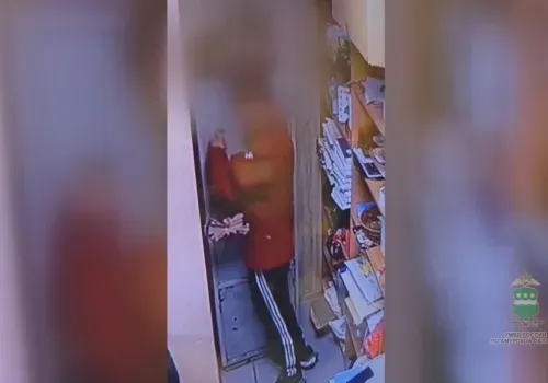 Задержан подозреваемый в ночной краже из столовой Благовещенска