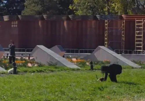 Выгул собак на площади Победы в Благовещенске сняли на видео