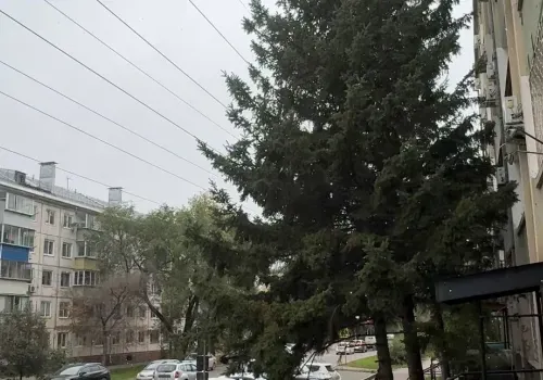 Первый снег прошел в Благовещенске