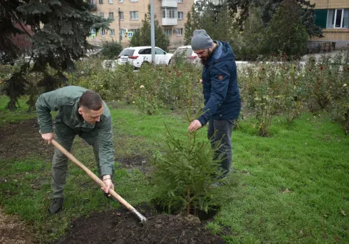 Ели и березы высадили амурчане на территории ДНР