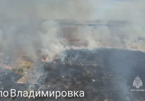 Взрослые и дети устроили пожары в Амурской области