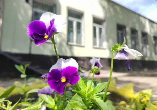 Температура воздуха до +27 °C ожидается в Амурской области 14 июня