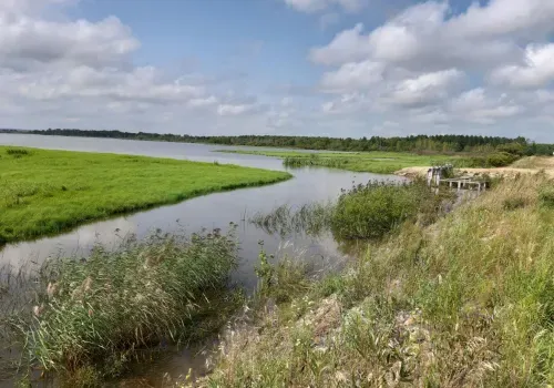 Прогноз погоды на 23 июня 2026 в Амурской области: местами пройдут кратковременные дожди с грозами
