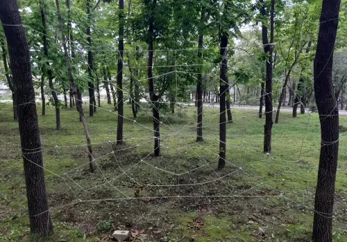 Гроза с усилением ветра до 13 м/с пройдет в Амурской области 3 июля