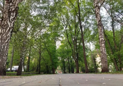 Днем местами по северным районам Амурской области 1 августа - гроза
