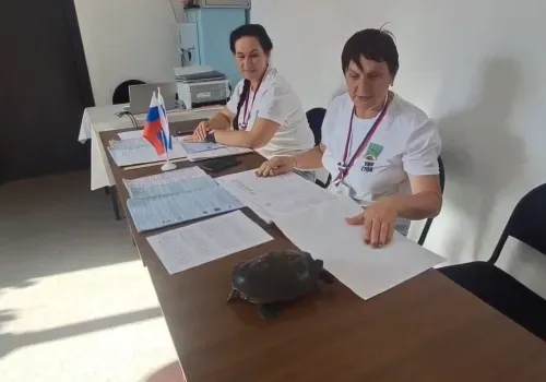 Черепаха пришла на выборы в Амурской области