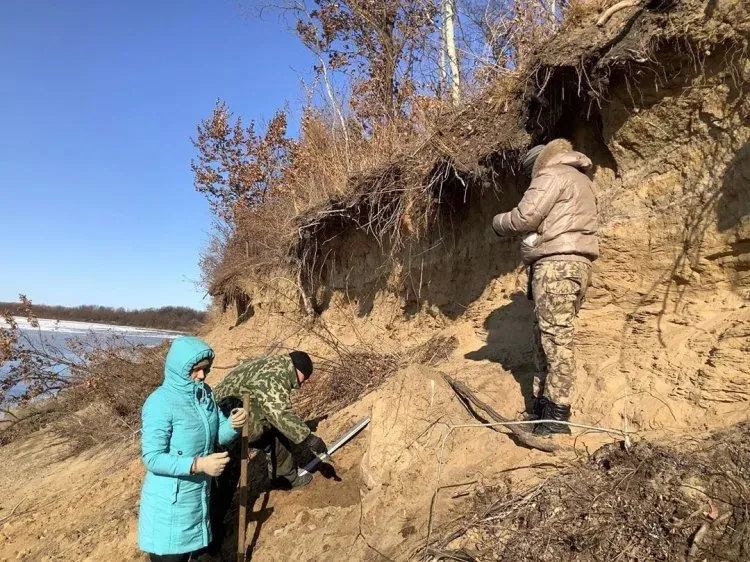 На новых стройках в Приамурье обнаружили археологические объекты