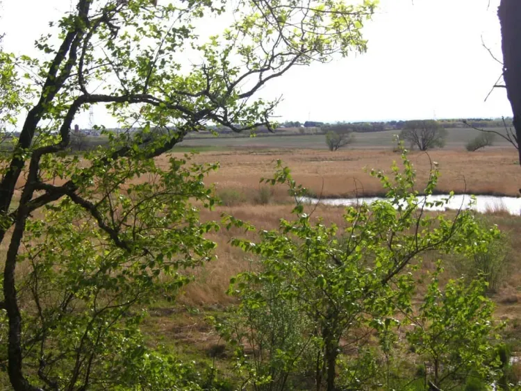 "Дальневосточные гектары" в Благовещенском районе чаще берут для сельхозиспользования