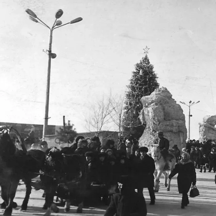 Мэр Благовещенска предложил оформить снежный городок к 2022 году в ретро-стиле