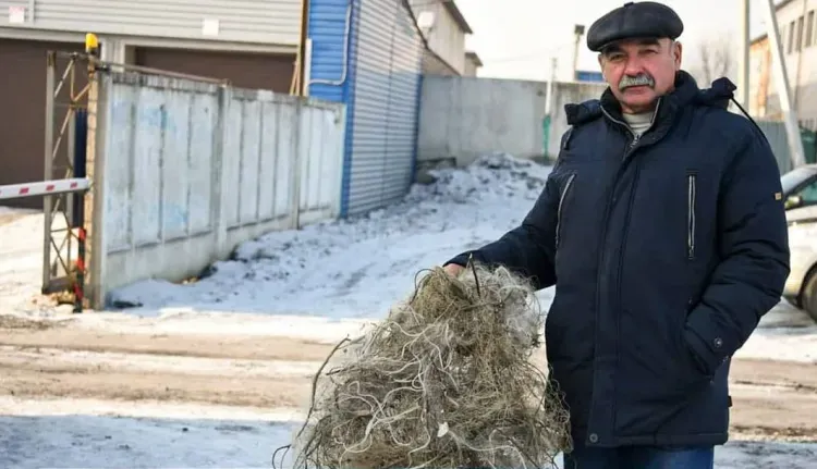 Браконьеры вылавливали фазанов в центре Свободного сетями