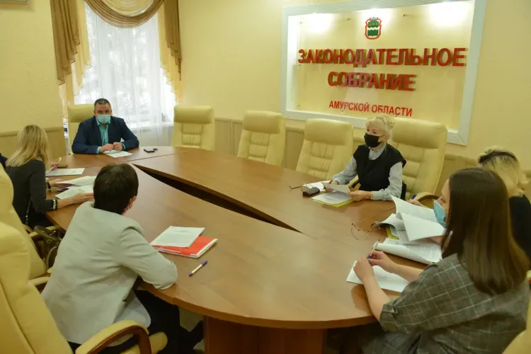 Закон о вытрезвителях на уровне регионе разработают в Амурской области