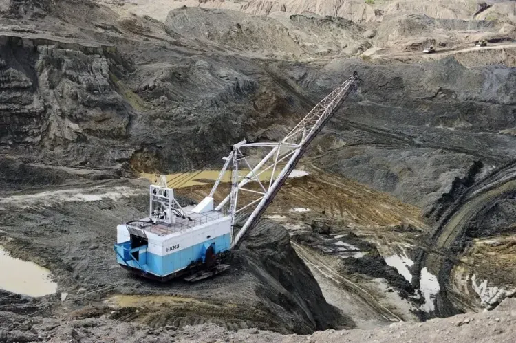 Мораторий на добычу золота на амурских реках предлагает ввести WWF России