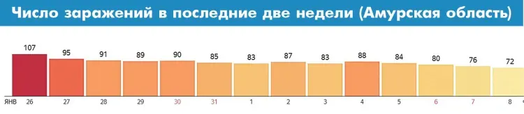 По проценту смертности от COVID-19 Приамурье находится на 76 месте