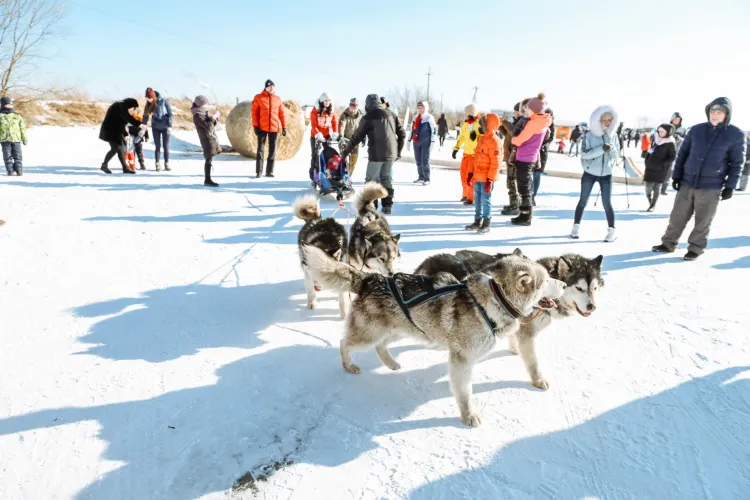 Василий Орлов открыл главный старт "Лыжни России" в Приамурье